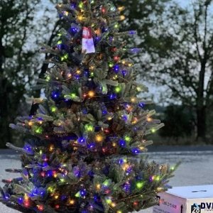 7.5 ft Spruce LED Pre-Lit  Asher Blue Artificial Christmas Tree