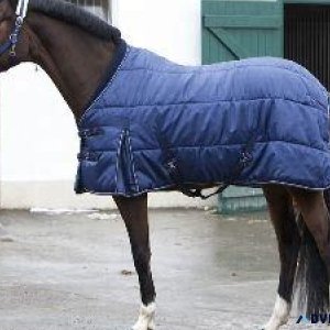 Horse Stable Rugs Supplier in Kanpur