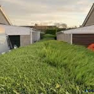 Hedge Reduction and Hedge Removal Services in Aberdeen