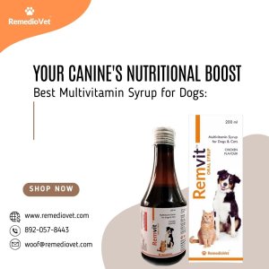 Multivitamin for dogs: tail-wagging wellness in a bottle