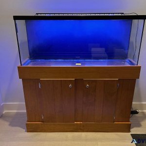 55 gal aquarium stand and lighting