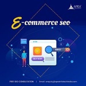 Apex infotech best ecommerce seo services in india