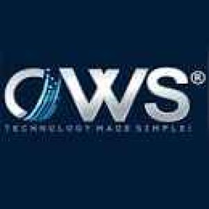 Top - rated software development company in india 2024