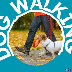 Dog Walking Service in Delhi NCR