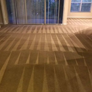 Your trusted carpet cleaning professionals in lehigh acres