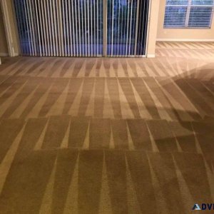 Your Trusted Carpet Cleaning Professionals in Lehigh Acres