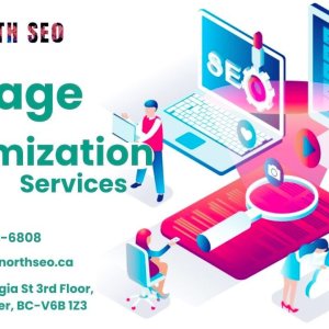 Seo consulting