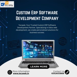 Custom erp software development company | tecspek