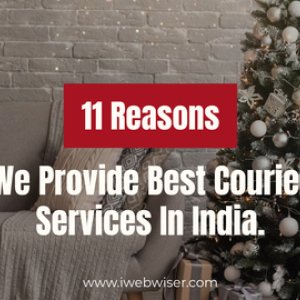 11 reasons: fast express is best courier service in india