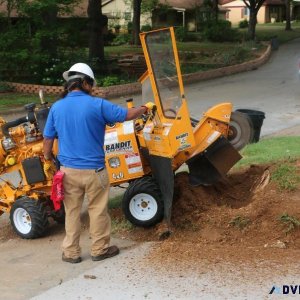 TREE SERVICE 24HRS