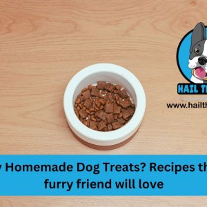 Healthy homemade pet treatment