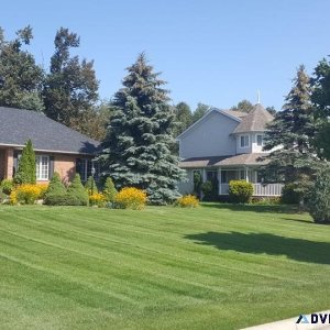 Lawn Mowing In Stouffville