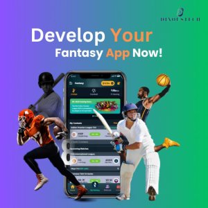 Fantasy sports app development company