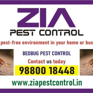 Pest control service | effective bedbug treatments bangalore