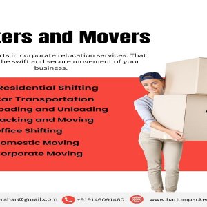 Movers and packers in fatehabad