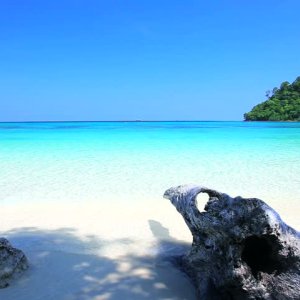 Your perfect escape awaits: andaman island travel