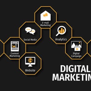 Maximize Your ROI with Our Digital Marketing Expertise