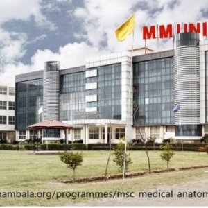 Msc medical anatomy admission 2024