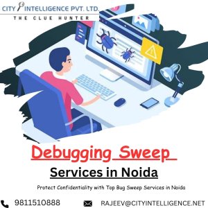 Best debugging sweep services in noida | protect your privacy