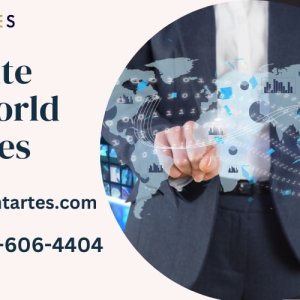 Netsuite oneworld services in uSA