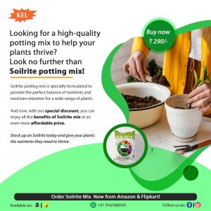 Buy premium potting soil mix online - perfect soil for plants