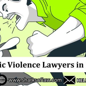 Domestic violence lawyer in delhi