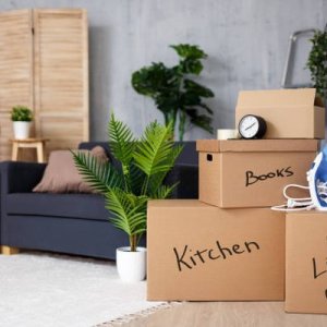 Quick and safe packers and movers in mohali