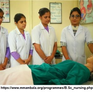 B sc nursing total fees