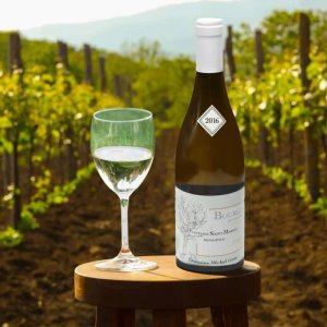 Buy white wine online from bottle barn