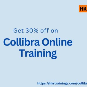 Get 30% off on collibra training by hkr training