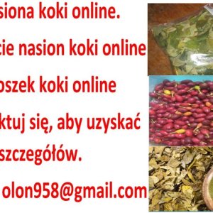 Buy coca seeds online