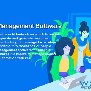 W2g solutions: loan management software development in delhi