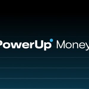 Strategies for sucessful p2p investment in india | powerup money