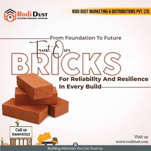 Brick supplier in gurgaon - rodidust