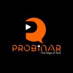 Probinar blockchain online courses