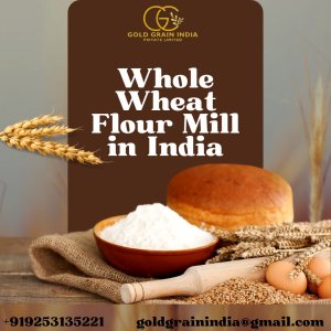 Whole wheat flour mill in india