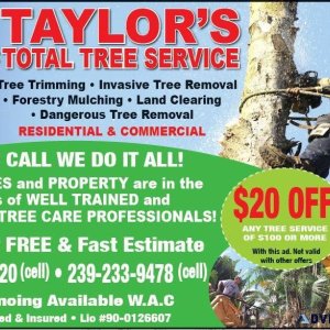 TREE REMOVAL STUMP GRINDING DEBRIS REMVOAL LICENSED AND INSURED