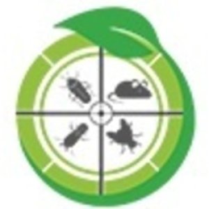 Commercial pest control services in hyderabad