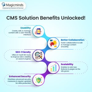 Top rated cms software solutions from magicminds