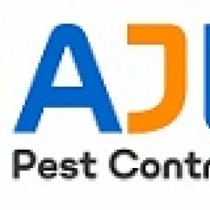 Termite control services in hyderabad