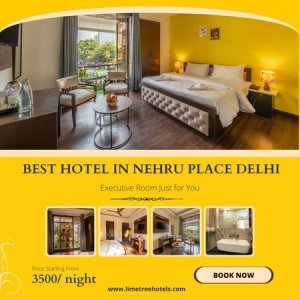 Hotel in nehru place