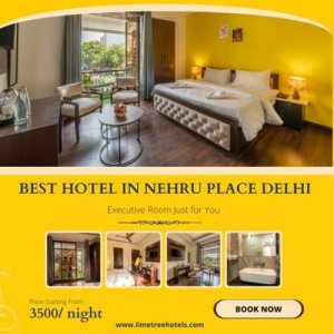 Hotels near nehru place