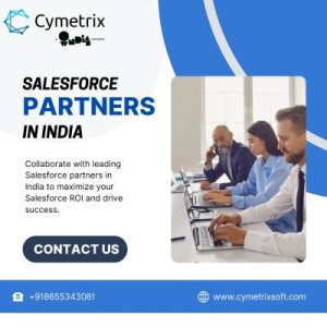 Salesforce partners in india