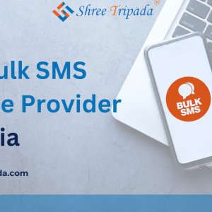 Top rated bulk sms service provider in india