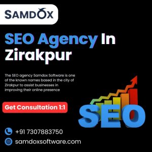 Seo agency samdox software in zirakpur