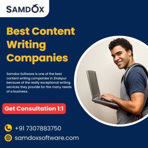 Website content writing company samdox software in zirakpur