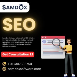 Seo company samdox software in zirakpur