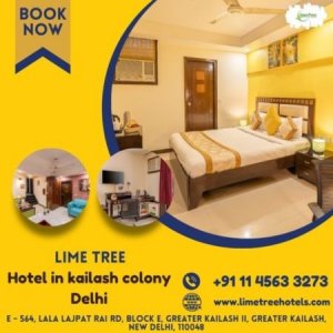 Hotel in kailash colony/lime tree hotel