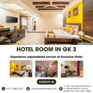 Hotel in gk 2/lime tree hotel