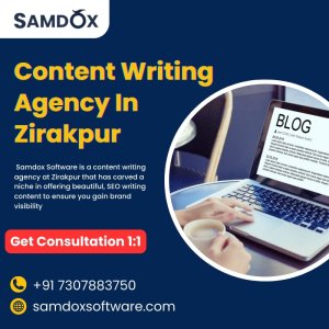 Content writing agency samdox software in zirakpur